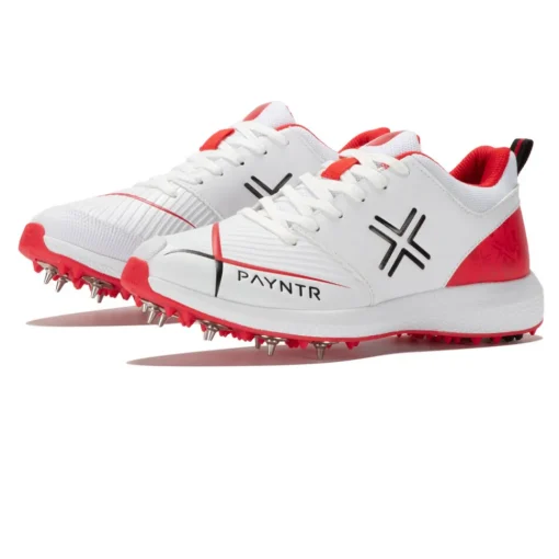 Payntr V Cricket chaussures à pointes-Homme Sports En Salle
